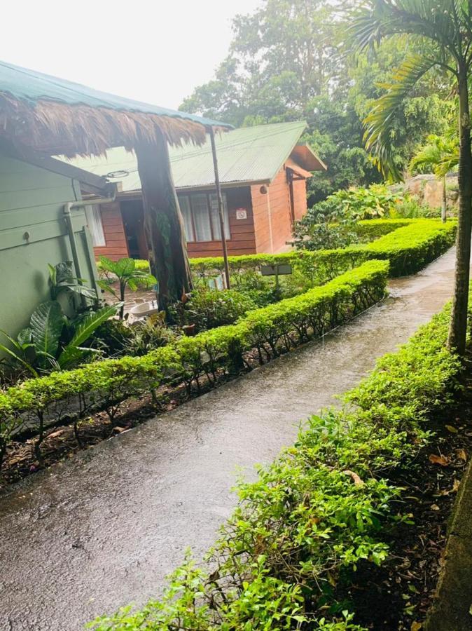 Hotel Quetzal Inn Monteverde Buitenkant foto