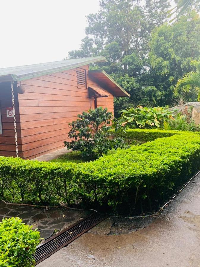 Hotel Quetzal Inn Monteverde Buitenkant foto